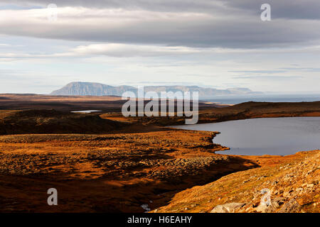 Geysirofa vulcano, a nord-est dell'Islanda, del Nord Atlantico, Europa Foto Stock