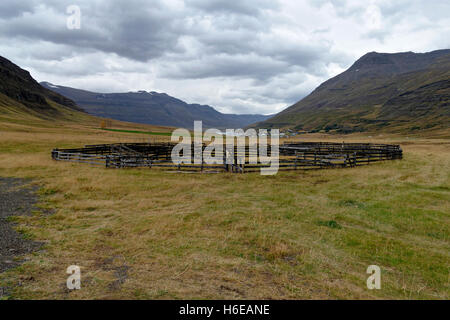 In legno antico penna di pecora, Seyðisfjörður Affitto, Est Islanda, Atlantico del Nord, Europa Foto Stock