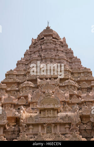 Vista di Vimana o shikhara, il tempio di Brihadisvara, Gangaikondacholapuram, Tamil Nadu, India. Vista da ovest. Foto Stock