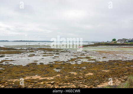 Paesaggio intorno Larmor-Baden, un comune nel dipartimento di Morbihan, della Bretagna nel nord-ovest della Francia. Foto Stock