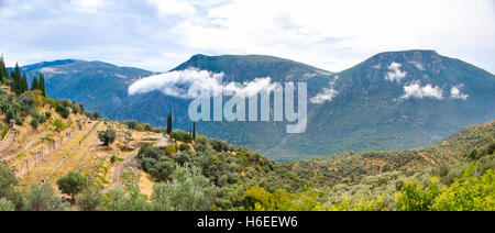 La pittoresca vista panoramica sulle montagne di Parnassus con oliva-legno e le rovine della parte inferiore di antichi Delphi, Grecia. Foto Stock