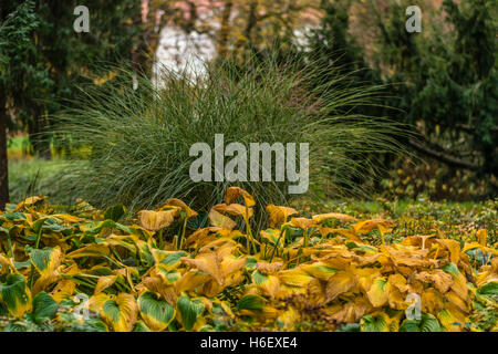 Autunno in Slovenia Foto Stock