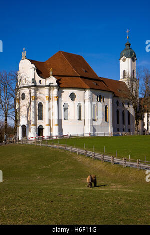 Cattedrale wieskriche in Baviera Germania Foto Stock