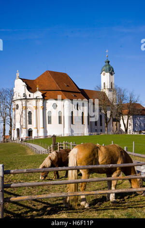 Cattedrale wieskriche in Baviera Germania Foto Stock