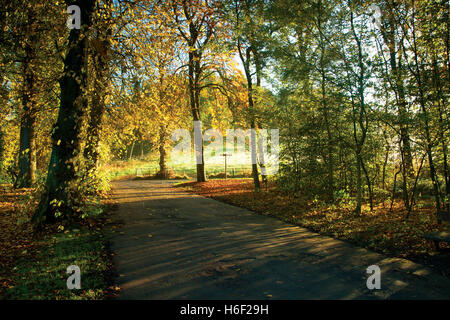 I colori autunnali, Linn Park, Glasgow Foto Stock