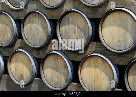 Righe di diverse botti da vino impostato nel display di legno con intagli per ciascuna al riposo. Foto Stock