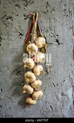 Aglio in lega è essiccato sulla parete. Foto Stock