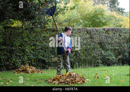 Nipote aiutando chiaro lascia nel giardino dei nonni Foto Stock