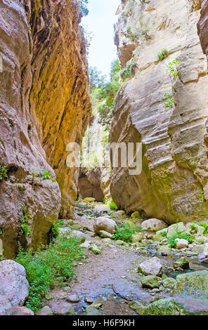 Avakas Gorge è il posto migliore per scoprire la natura insolita di Cipro, godere di un fantastico paesaggio e ottenere esperienza straordinaria Foto Stock