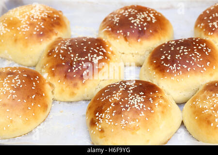 Appena fatti di semi di sesamo e rabboccato burger panini freschi di forno e ancora unite tra loro su un vassoio da forno Foto Stock