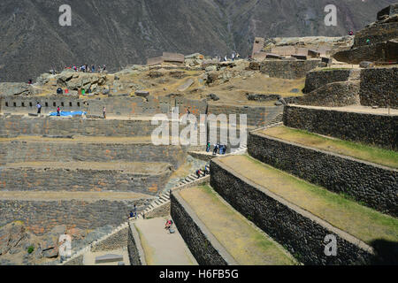 Persone salire i terrazzamenti agricoli presso le rovine inca di Ollantaytambo nella Valle Sacra del Perù. Foto Stock