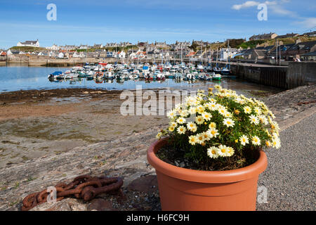 Findochty villaggio ed un porto, Moray Firth, regione delle Highlands della Scozia Foto Stock