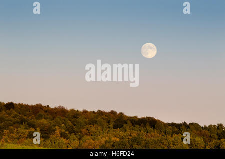 Luna autunnale sorge paesaggio panoramico Binghamton, Broome County Southern Tier Region New York, USA. Foto Stock