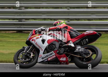 Inglese corridore motociclistico Tommy Bridewell (Bennetts Suzuki team) a bordo di una Suzuki GSX-R1000 ad Oulton Park, Inghilterra Foto Stock