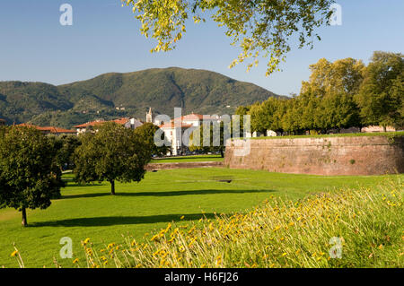 Vista dalla parete della città di Lucca, Toscana, Italia, Europa Foto Stock