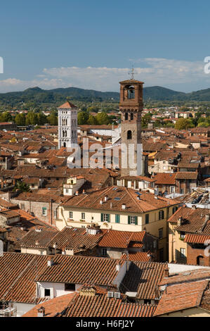 La vista dalla Torre Guinigi look-out sulla città, Lucca, Toscana, Italia, Europa Foto Stock