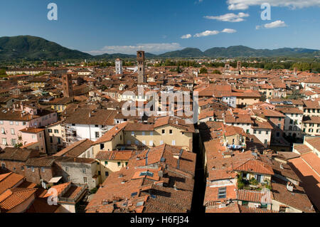 La vista dalla Torre Guinigi look-out sulla città, Lucca, Toscana, Italia, Europa Foto Stock