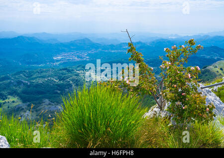 La vista panoramica dal monte Lovcen con le bellissime piante sul suo picco, Blue Mountains e il Lago di Skadar sullo sfondo Foto Stock