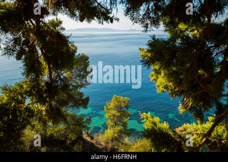 Mare Mediterraneo e pini, Corniche des Maures. Le Lavandou. Var reparto, Provence Alpes Côte d'Azur. Costa Azzurra Francia Foto Stock