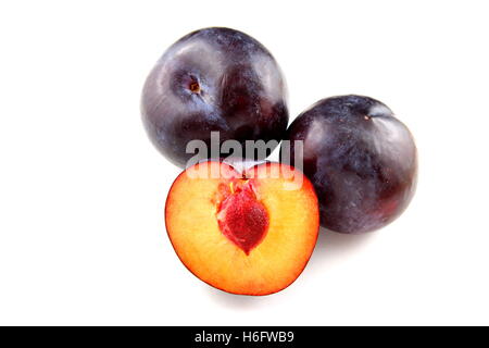 Blue prugna frutti isolato Foto Stock