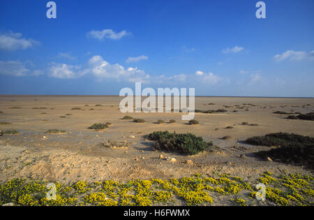 La Tunisia, Jarbah isola, costa tra Aghir e El-Kantara. Foto Stock