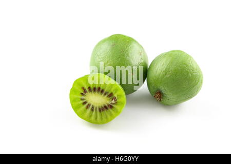 Hardy kiwi isolato Foto Stock