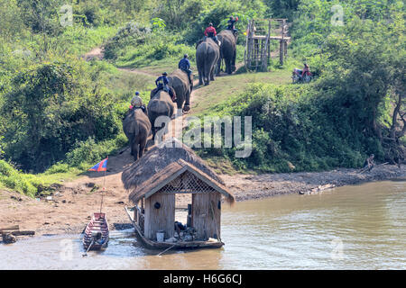 Elefante asiatico (asiatico), elefante elefante elefante, attraversamento del fiume Nam Khan, piattaforma di montaggio di case galleggianti ed elefanti, Villaggio dell'elefante, Ban Xieng Lom, Luang Prabang, Laos Foto Stock