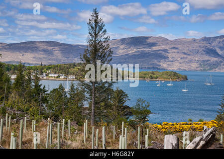 Guardando sul Loch Carron a plockton, Kyle of Lochalsh, Highland, Scotland, Regno Unito Foto Stock