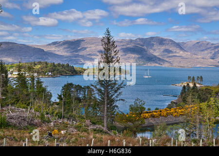 Guardando sul Loch Carron a plockton, Kyle of Lochalsh, Highland, Scotland, Regno Unito Foto Stock