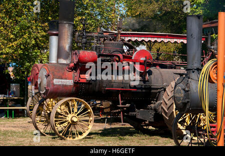 Trattori a vapore, grande Oregon Steam-Up, antichi Powerland, Brooks, Oregon Foto Stock