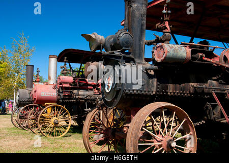 Trattori a vapore, grande Oregon Steam-Up, antichi Powerland, Brooks, Oregon Foto Stock