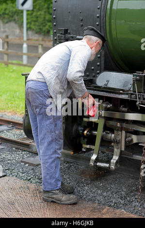 Welshpool e Llanfair railway driver del motore che frequentano per la lubrificazione della contessa di Raven station,Welshpool, Galles Foto Stock