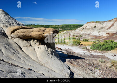 Formazioni geologiche noto come 'hoodoos"; il risultato di erosione. Badlands, Parco Provinciale dei Dinosauri, Alberta, Canada. Foto Stock