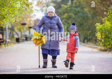 Senior la donna e la sua pronipote sulla passeggiata nel parco di autunno Foto Stock