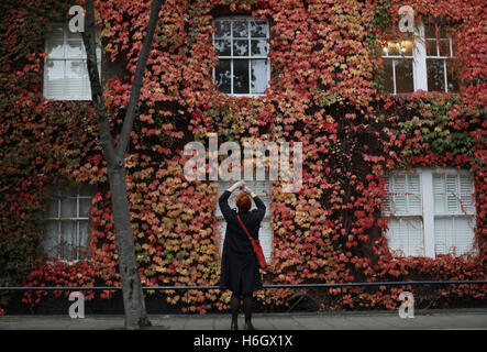 Una donna fotografa la autunnale di foglie colorate per la copertura di edifici di Islington, Londra Nord. Foto Stock