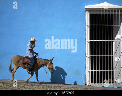 Uomo su asino in strada cubano a Trinidad. Foto Stock