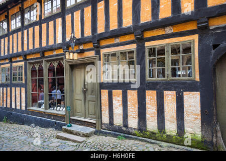 La tabaccheria, Den Gamle By, Aarhus, Danimarca Foto Stock