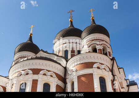 Cattedrale ortodossa di Alexander Nevsky, Toompea, Città Vecchia, Tallinn, Estonia Foto Stock