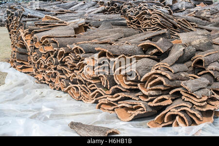 Pila di corteccia di albero di sughero Foto Stock