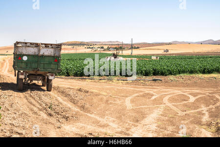 Rimorchio di un trattore sul campo e piantagioni agricole Foto Stock