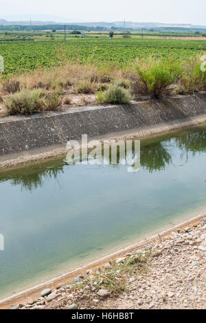 Canale di irrigazione e piante verdi Foto Stock