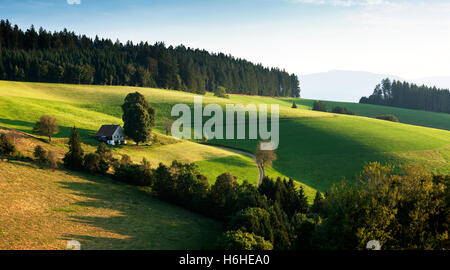 Agriturismo solitario nel paesaggio collinare, Sankt Märgen, Foresta Nera, Baden-Württemberg, Germania Foto Stock