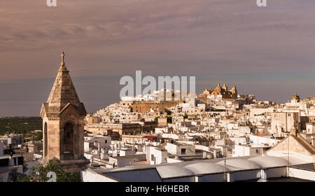 Paesaggio con una cattedrale, Ostuni, Valle d'Itria, provincia di Brindisi, puglia, Italia Foto Stock
