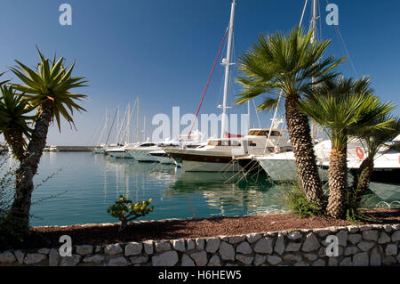 Marina, San Remo, Riviera, Liguria, Italia, Europa Foto Stock