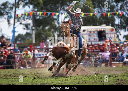 Australian Cowboy all annuale Lang Lang Rodeo. Victoria, Australia. Foto Stock