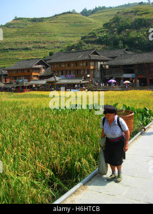 Vecchia donna di yao minoranza con terrazze di riso sullo sfondo all'interno dazhai village, Guilin, provincia di Guangxi, Cina Foto Stock