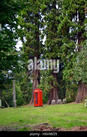 Telefono rosso scatola e sedie in mezzo a una foresta Foto Stock