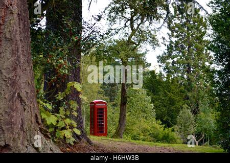 Telefono rosso scatola in mezzo a una foresta in Scozia Foto Stock