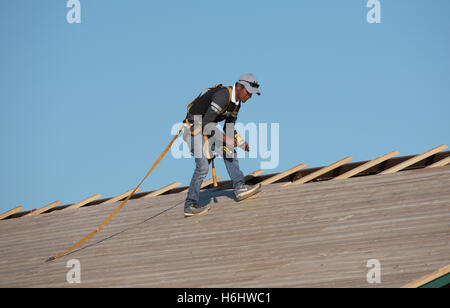 Florida USA copritetti indossa una imbracatura di sicurezza e tenendo un trapano per fissare assicelle di legno su di un tetto a falde inclinate Foto Stock