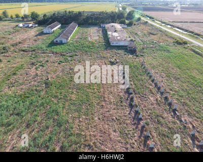 Le rovine della vecchia fattoria. Coni con base a colonna della parete. Abbandonata e di edifici in rovina. Foto Stock